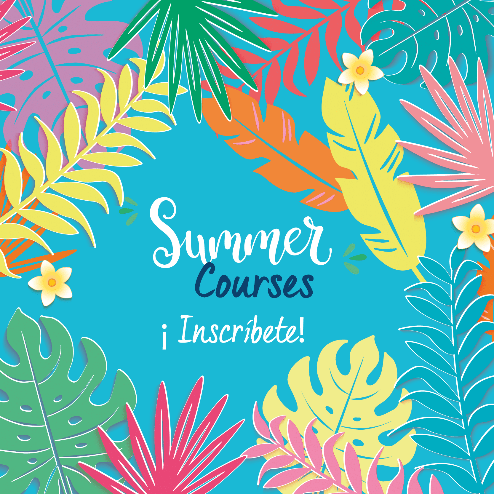 Curso de Verano