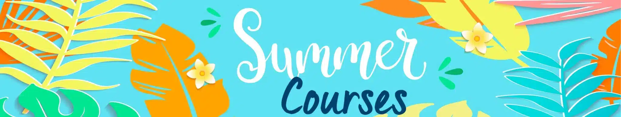 Curso de Verano